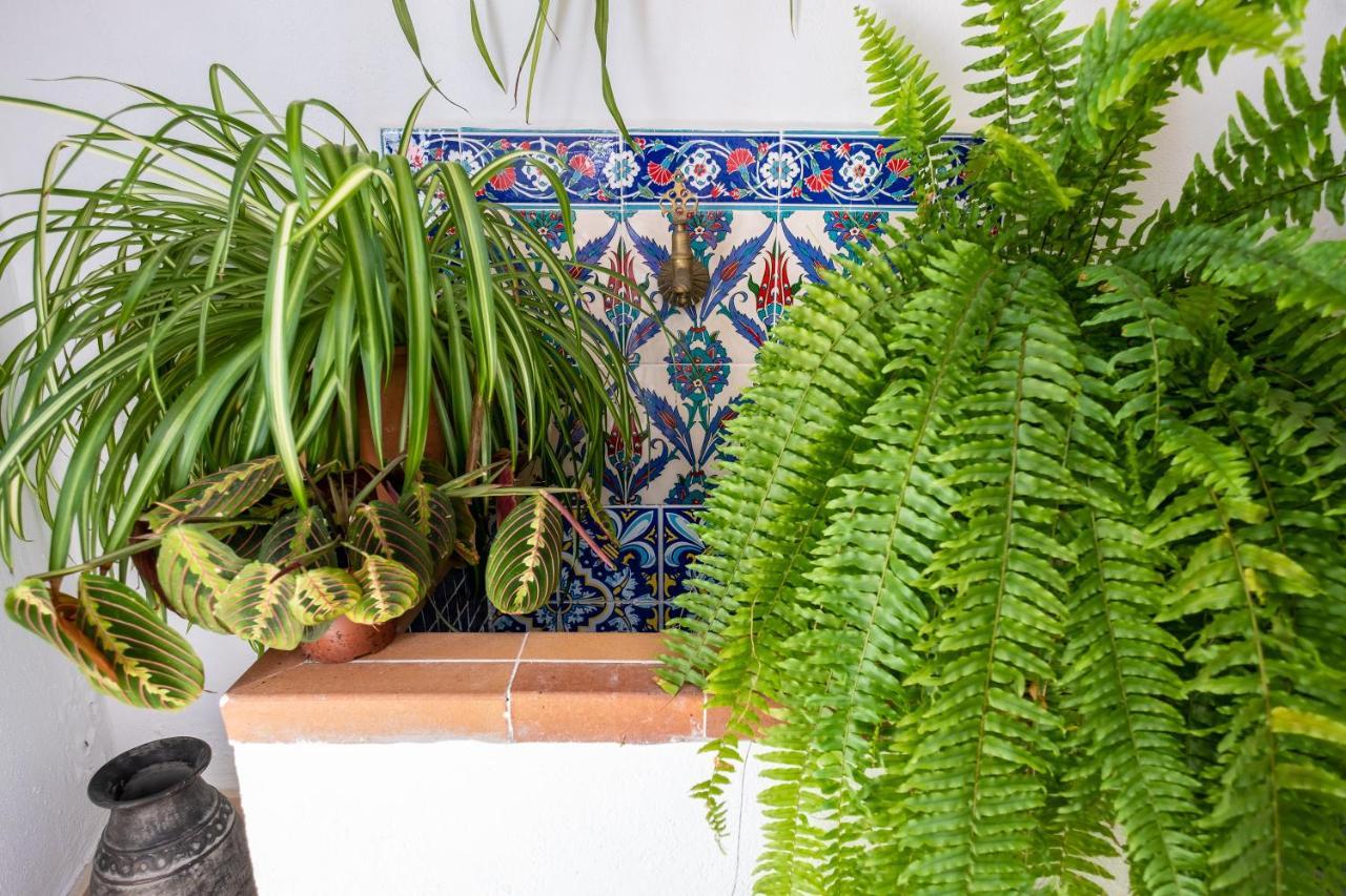 La Casa Del Agua Villa Vejer de la Frontera Exteriör bild